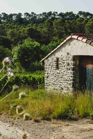 S’exprimer dans nos vins