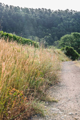 S’exprimer dans nos vins